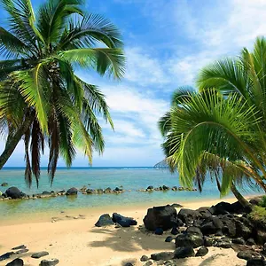 https://paniolo-204b-spacious-airy-studio-walking-distance-to.hotelsinhawaii.org